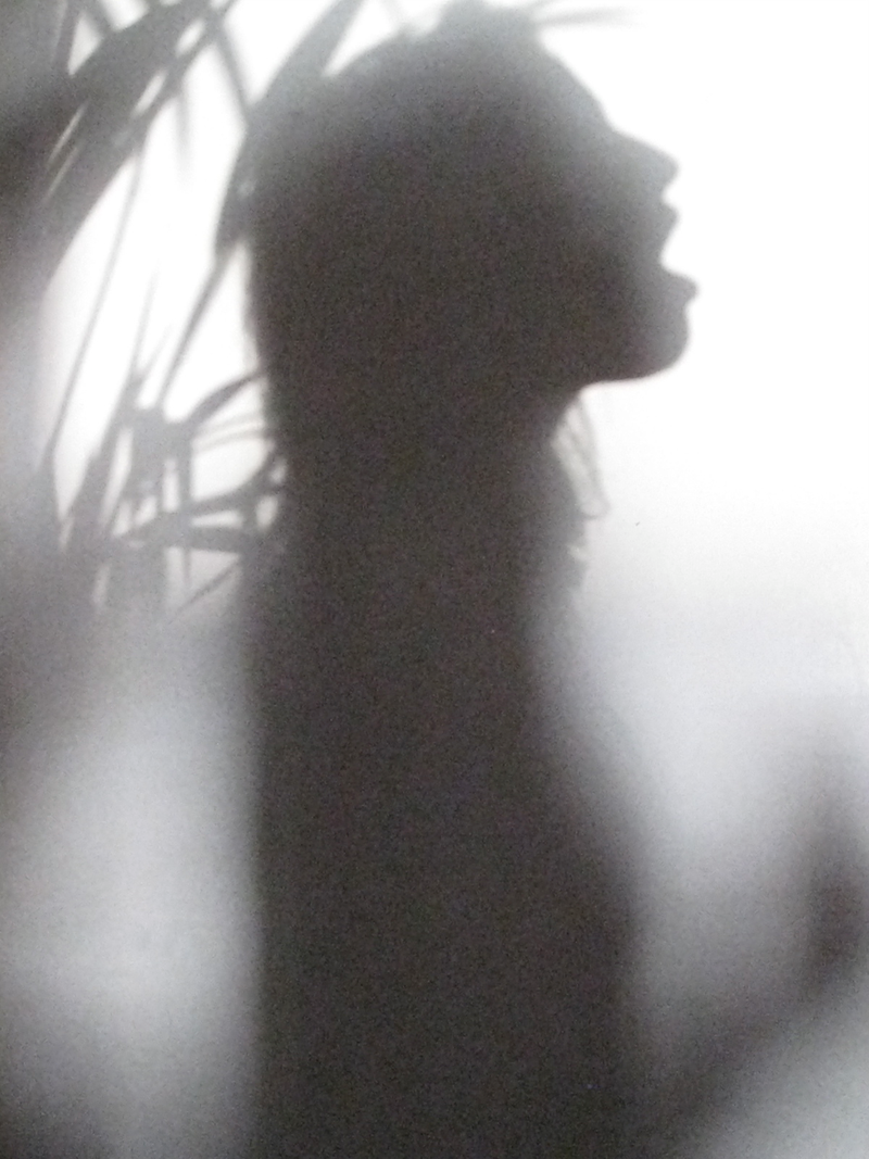 Illustration for article titled 103 Shapely Shadows
